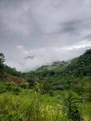  Montañas de Panamá, recurso hídrico, fauna y flora importante 