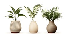  Plant Set Different Potted Plants In Ceramic Pots. Home Potted Plants.