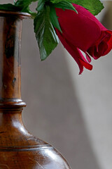 Poster - red rose in a wooden vase.Still life photography