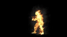Character Fire,Animation Dancing Burning, Ghost Halloween. Included In The End Of The Clip With Luma Matte.
