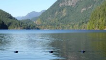 Buntzen Lake In Anmore, British Columbia, Canada