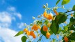 An 8K picture capturing the vibrant colors of Jewelweed Jasmine against a blue sky.