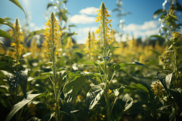 Sticker - A field of genetically modified crops flourishing, showcasing innovation in agriculture. Concept of biotechnology in farming. Generative Ai.