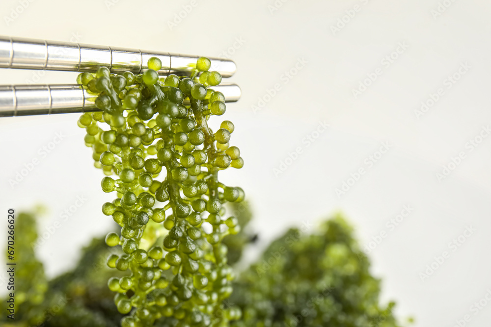 Chopsticks with healthy seaweed on light background, closeup