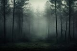 Fototapeta Las - Enigmatic and mysterious wallpaper background with a fog-covered forest