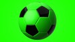 © Tsurukame Design - Green soccer ball on green background.3d illustration.