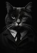 kitty cat kitten wearing suit arrogant sinister attitude working clothes hustlers mode mid lawyer black
