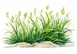 illustration green grass production cartoon phragmites sparse hiding rocks seedlings young