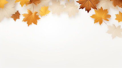 Wall Mural - maple leaves on a white background isolated frame of fallen leaves autumn blank