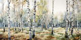 watercolour drawing of birch tree forest landscape
