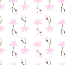 Patrón De Flores De Sakura Floreciendo Sobre Fondo Transparente. Patrón De Flores De Cerezo Sobre Fondo Transparente Para Decorar Superficies.