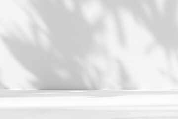 Fototapete - Abstract white studio background for product presentation. Empty room with shadows of window and flowers and palm leaves . 3d room with copy space. Summer concert. Blurred backdrop.