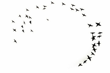 Flock of birds flying through the air in circle of black birds.