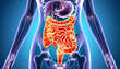 3D Visualization of the Anterior Human Liver Tract in Digestive System. Generative AI