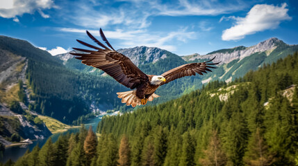  Bald Eagle in flight against the background of a mountain landscape. Bald Eagle in flight with snow capped mountains in the background.