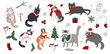 Vector set of cute Christmas cats with holiday elements. Vector illustration of pets for winter holidays in flat cartoon style. They will add joy to your Christmas designs.
