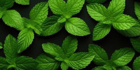 Wall Mural - Top View Of Fresh Peppermint Leaves For Vegan Background