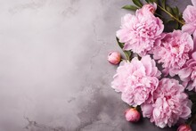 beautiful pink peonies roses on grey background
