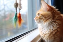 Feathers And Bells Cat Toy On A Windowsill