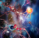 Fototapeta  - Nerve cells, Neuron, Neurologic Disease, tumors, brain surgery. 3d Illustration
