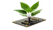 Green Technology: Plant Growing from Circuit Board on transparent background