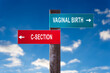 Vaginal Birth versus C-section - Road sign with two options.