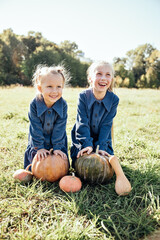 autumn harvest organic pumpkins and apples. happy little sisters girl on pumpkin patch on cold autum