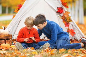 Wall Mural - Cute happy children, siblings, boys, playing with knitted toys in the park, autumntime