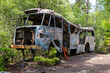 Dark tourism, forgotten bus wreckage in a forest