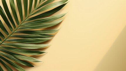Poster - Top view of green tropical leaf shadow on sand color background. Flat lay. Minimal summer concept with palm tree leaf. Creative copyspace.