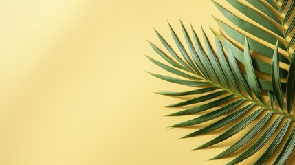 Poster - Top view of green tropical leaf shadow on sand color background. Flat lay. Minimal summer concept with palm tree leaf. Creative copyspace.