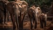 Elephants drinking water at a waterhole . Wildlife Concept With Copy Space