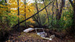 Composite photo of an old smashed up car abandoned in a creek with Autumn foliage 