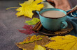 © Yuliia - Ceramic blue cup with cocoa, hot chocolate on a saucer, on a colored blanket or scarf, multi-colored, bright leaves, horizontal. Autumn composition with foliage.