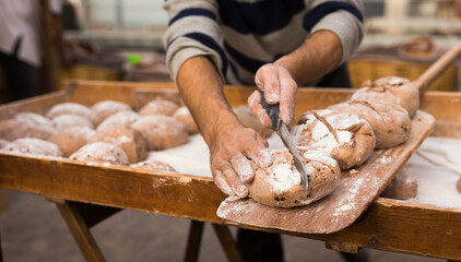 Wall Mural - Wheat dough shaped into loaves arranged in rows on the table before baking