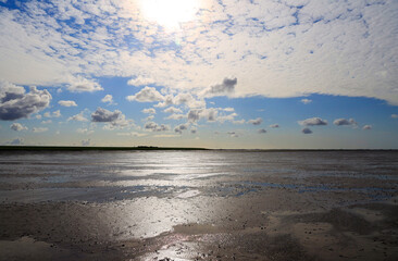 Wall Mural - The Wadden Sea National Park near the Peninsula Nordstrand in Germany, Europe