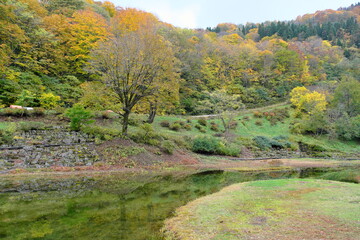 Wall Mural - 湯沢高原から見える景色、曇り　View from Yuzawa Plateau