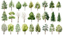 Set Of Watercolor Trees Collection On Transparent Background