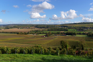 Poster - Champagne Vineyards in the Marne valley. Hauts-De-France region