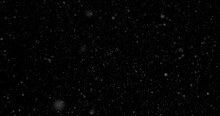 Beautiful Loop Snowflakes Flying In The Wind On Clean Black Copy Space Background. 