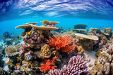 Fototapeta Do akwarium - Animals of the underwater sea world. Ecosystem. Colorful tropical fish, Life in the coral reef