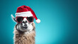 llama with a Christmas hat on a blue background