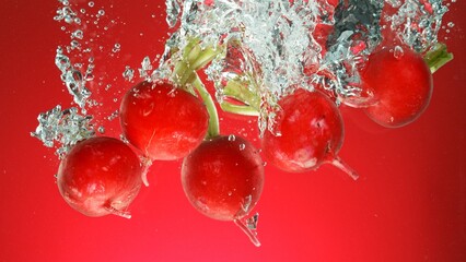 Wall Mural - Radish Falling into Water.