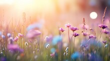 Delicate Closed Wild Flower With Blurred Bokeh Lights Background. High Quality Image