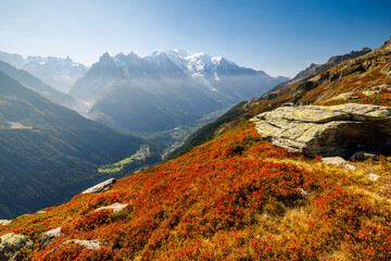 Wall Mural - autumn colors in Chamonix with Aiguille du Midi and Mont Blanc in France