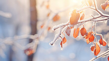 Frozen Branch With Autumn Leaves Autumn Winter Background