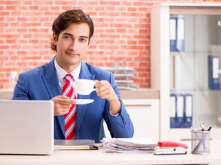 Wall Mural - Young handsome employee working in the office