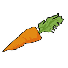 Canvas Print - healthy carrots vector