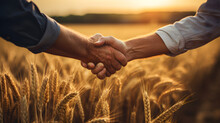 Two farmers in a wheat field shaking hands, signifying agricultural business,