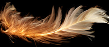 A Burning White Feather On A Black Background 1